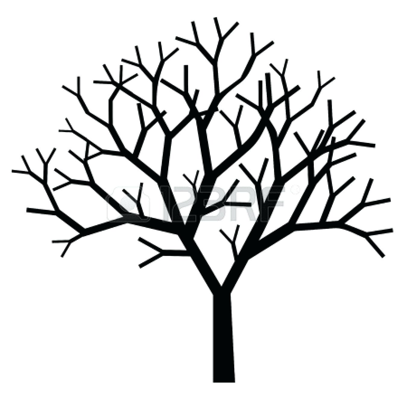 1350x1350 72 Terrific Tree With Branches Outline Clip Art Tree Branches