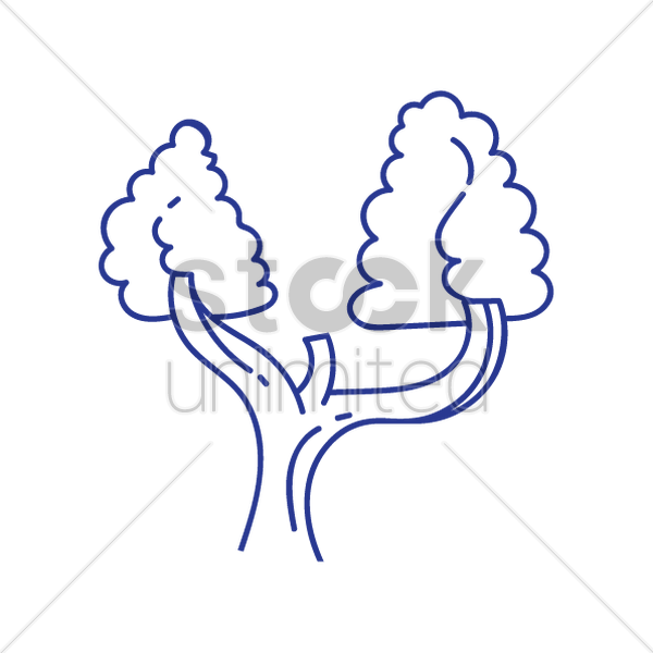 600x600 Tree With Two Branches Vector Image