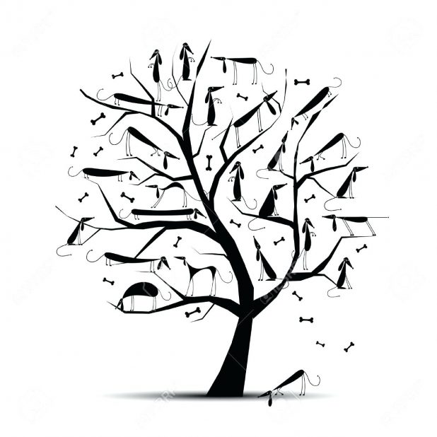 618x618 Branch Clipart Tree Three