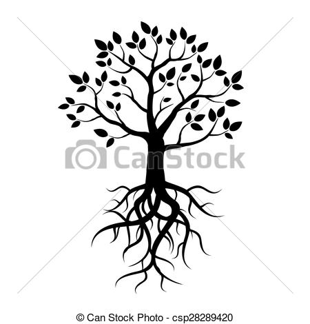 450x470 Roots Clipart Tree Drawing
