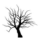162x170 Clip Art Of Sketch Of Dead Tree Without Leaves , Isolated On White
