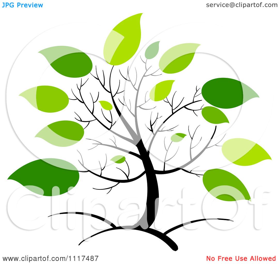 1080x1024 Foliage Clipart Tree Leaves