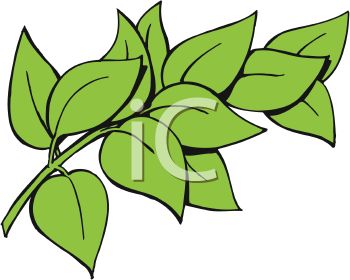 350x280 Picture Of Green Leaves On A Stem In A Vector Clip Art