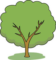 183x195 Free Trees Clipart