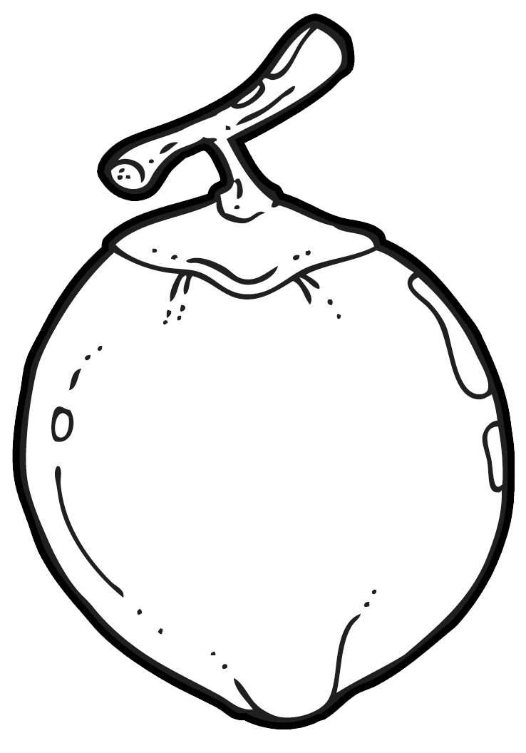 738x1056 Coconut Tree Clipart Png