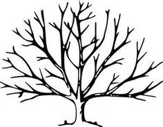236x184 Clipart Black And White No Leaves