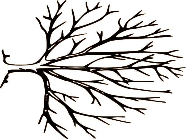 600x448 Bare Tree Clip Art