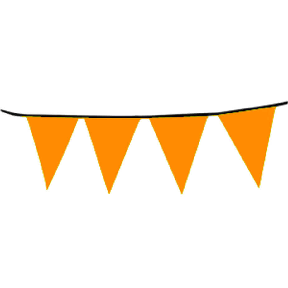 924x924 Assorted Colours Triangle Bunting Flags Brandability