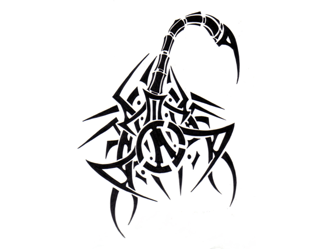 650x500 Scorpion Clipart Tribal