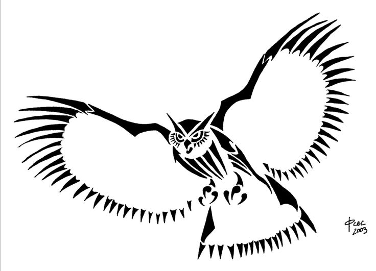 736x531 22 Best Tribal Owl Tattoos Images Design Tattoos