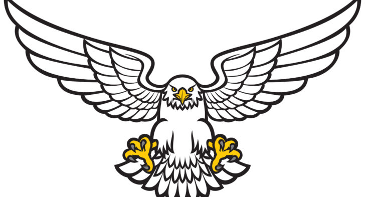 728x393 Eagle Wings Tattoos Designs Ideas About Tribal Wings