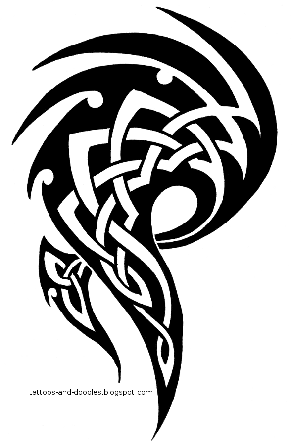 590x900 Tribal Celtic Tattoos Png