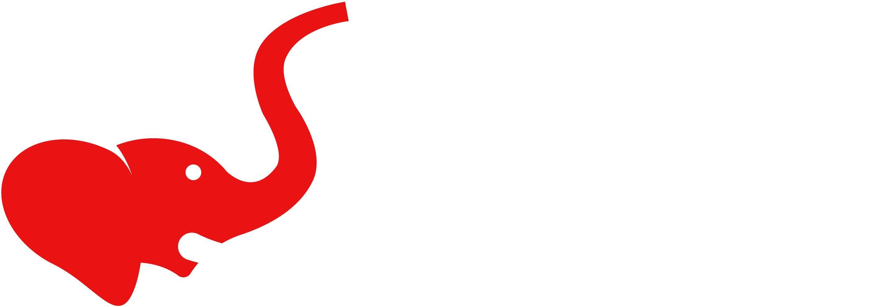 2842x993 Eradicating Horse Tripping Vote Ivory