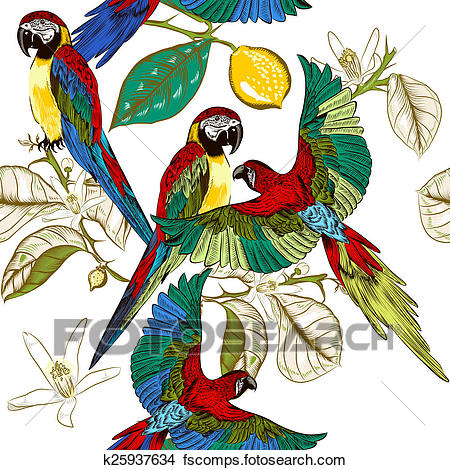 450x470 Drawings Of Beautiful Tropical Pattern Colorful Parrots