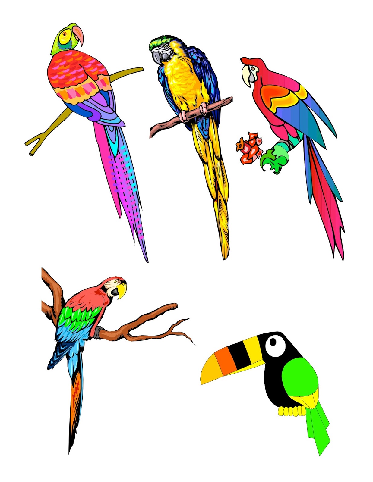 1237x1600 No Corner Suns No M Birds! Tropical Bird Clip Art Page.