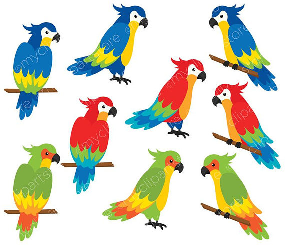 570x490 Parrots Clipart