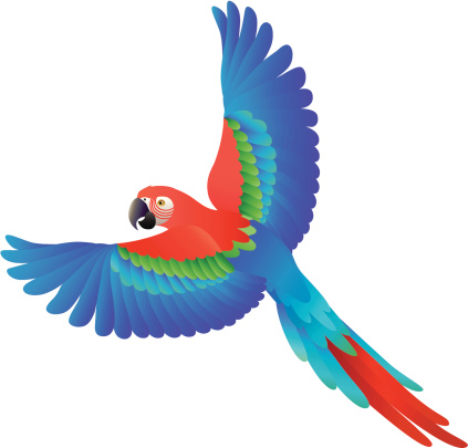 423x405 Toucan Clipart Macaw