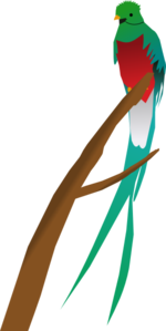150x299 Tropical Bird Clip Art