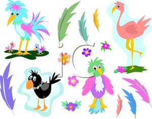 300x234 Tropical Birds