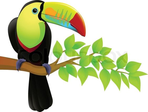 564x425 Parrot Svg File