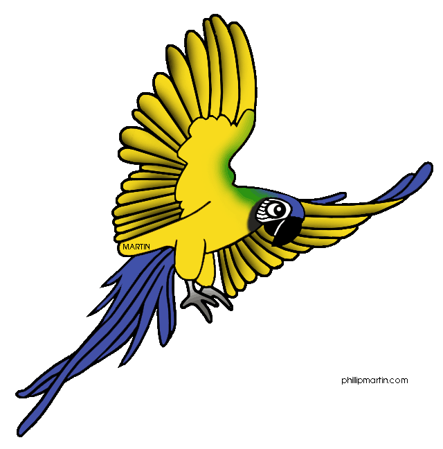 640x648 Top 79 Rainforest Clip Art