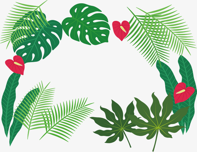 650x502 Tropical Plant Leaves Border, Vector Png, Green Leaves, Coniferous
