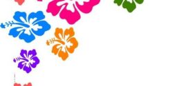 272x125 Tropical Clip Art Border Clipart Collection On Hibiscus Clipart