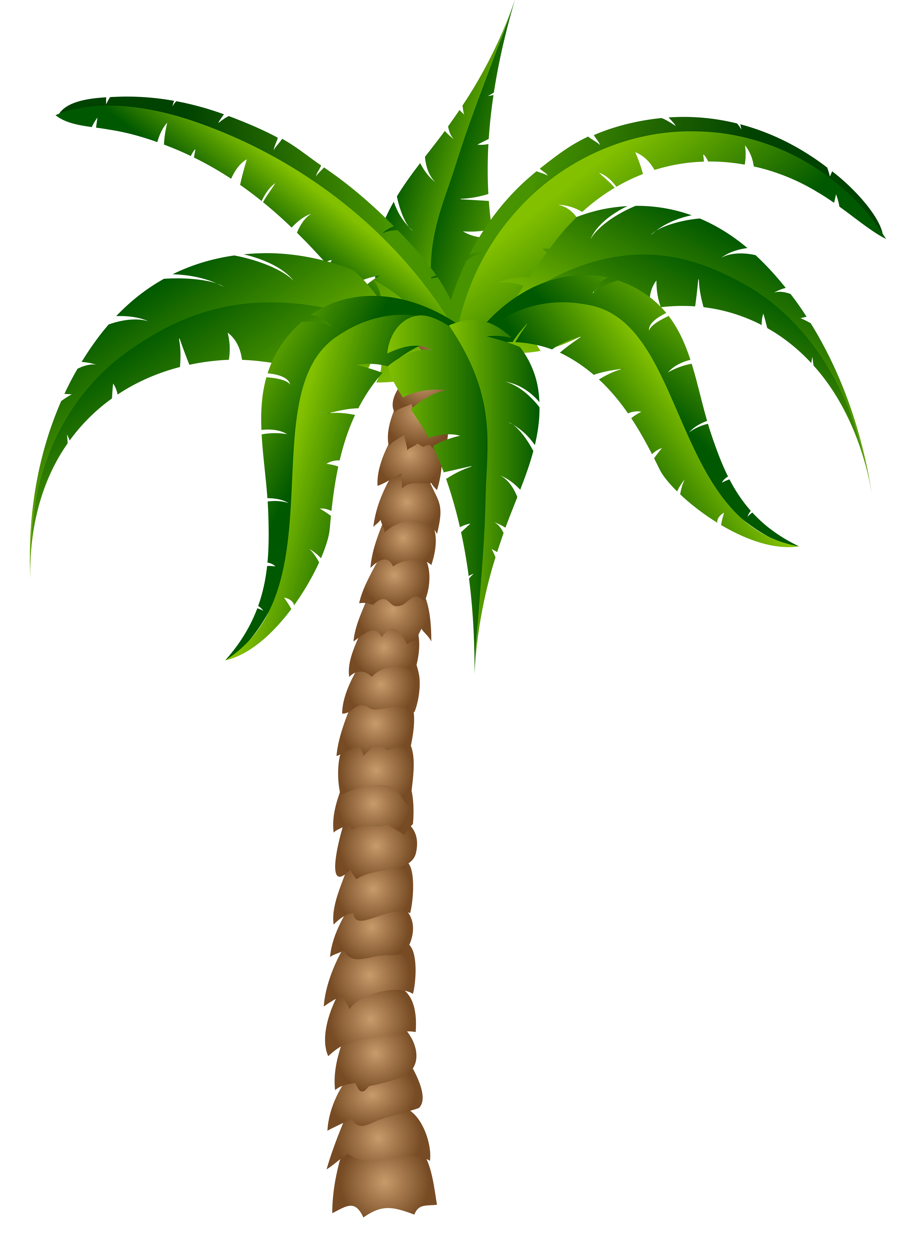 Tropical Clipart | Free download on ClipArtMag