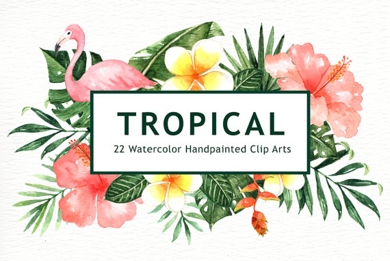 570x382 Tropical Leaves Watercolor Clipart Watercolor Flower