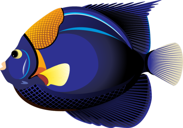 639x446 Tropical Fish Clip Art