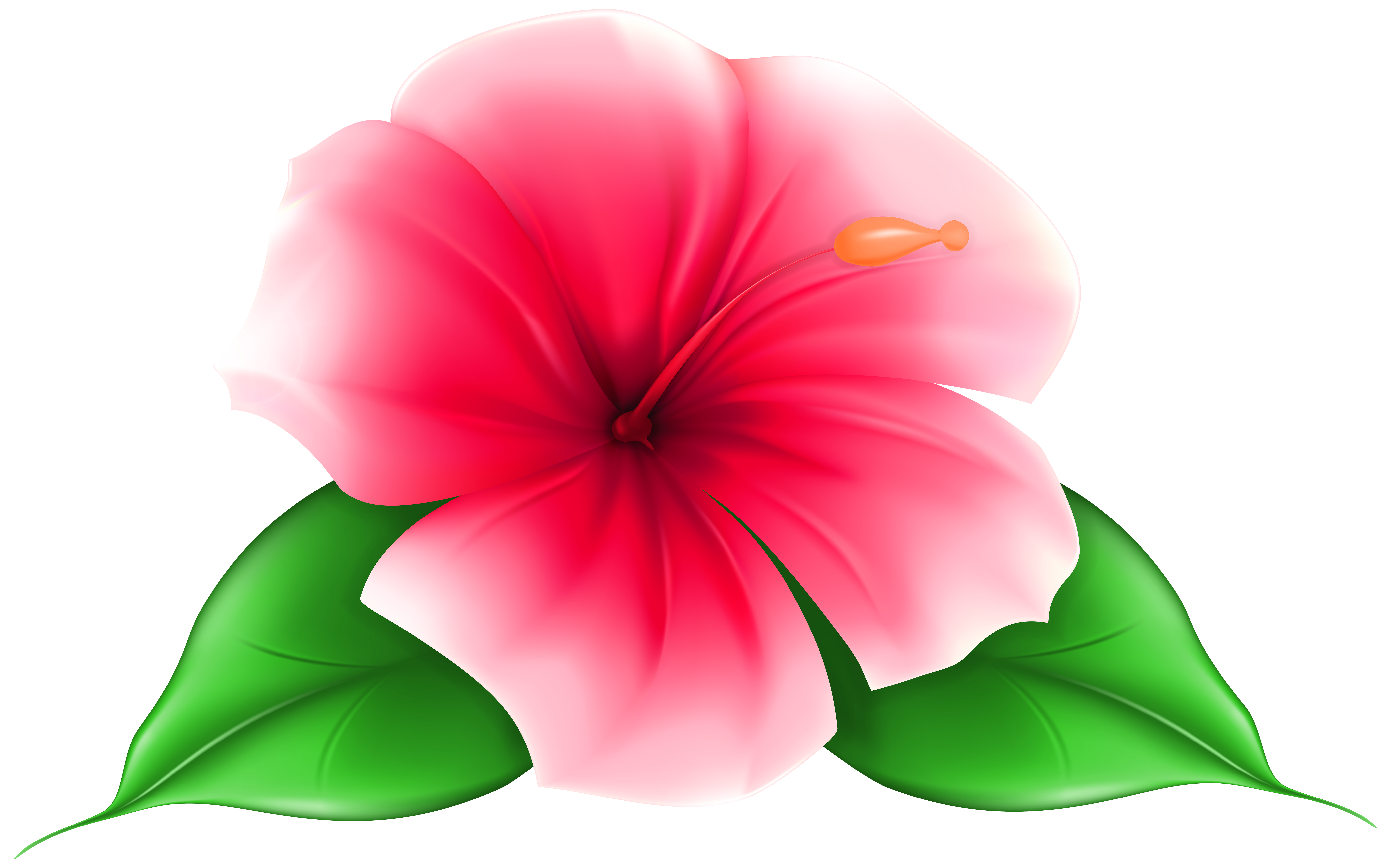 7000x4371 Tropical Clipart Flowering Plant