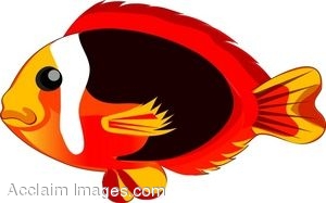 300x187 Clip Art Of A Red And Yellow Tropical Fish