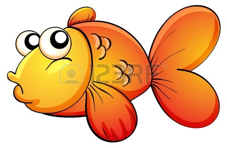 450x293 29,495 Tropical Fish Stock Vector Illustration And Royalty Free