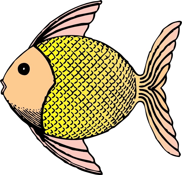 600x576 Tropical Fish Clip Art Free Vector In Open Office Drawing Svg