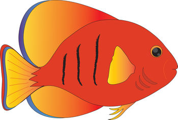 350x237 Tropical Fish Clip Art