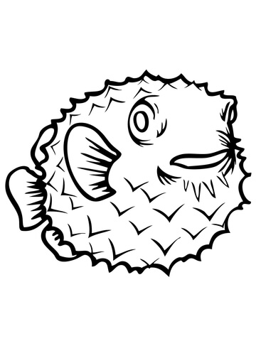 360x480 Porcupine Fish Coloring Page Free Printable Coloring Pages