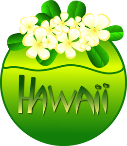 261x300 Hawaii Clipart Image