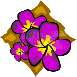 300x300 Royalty Free Purple And Yellow Hibiscus Tropical Flower 162984
