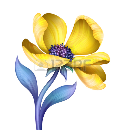 450x450 Abstract Tropical Flower, Botanical Illustration, Decorative
