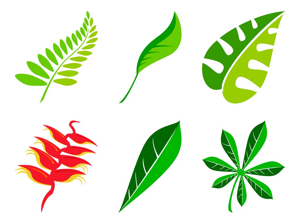 1024x765 Leaves Set Vector Art Amp Graphics