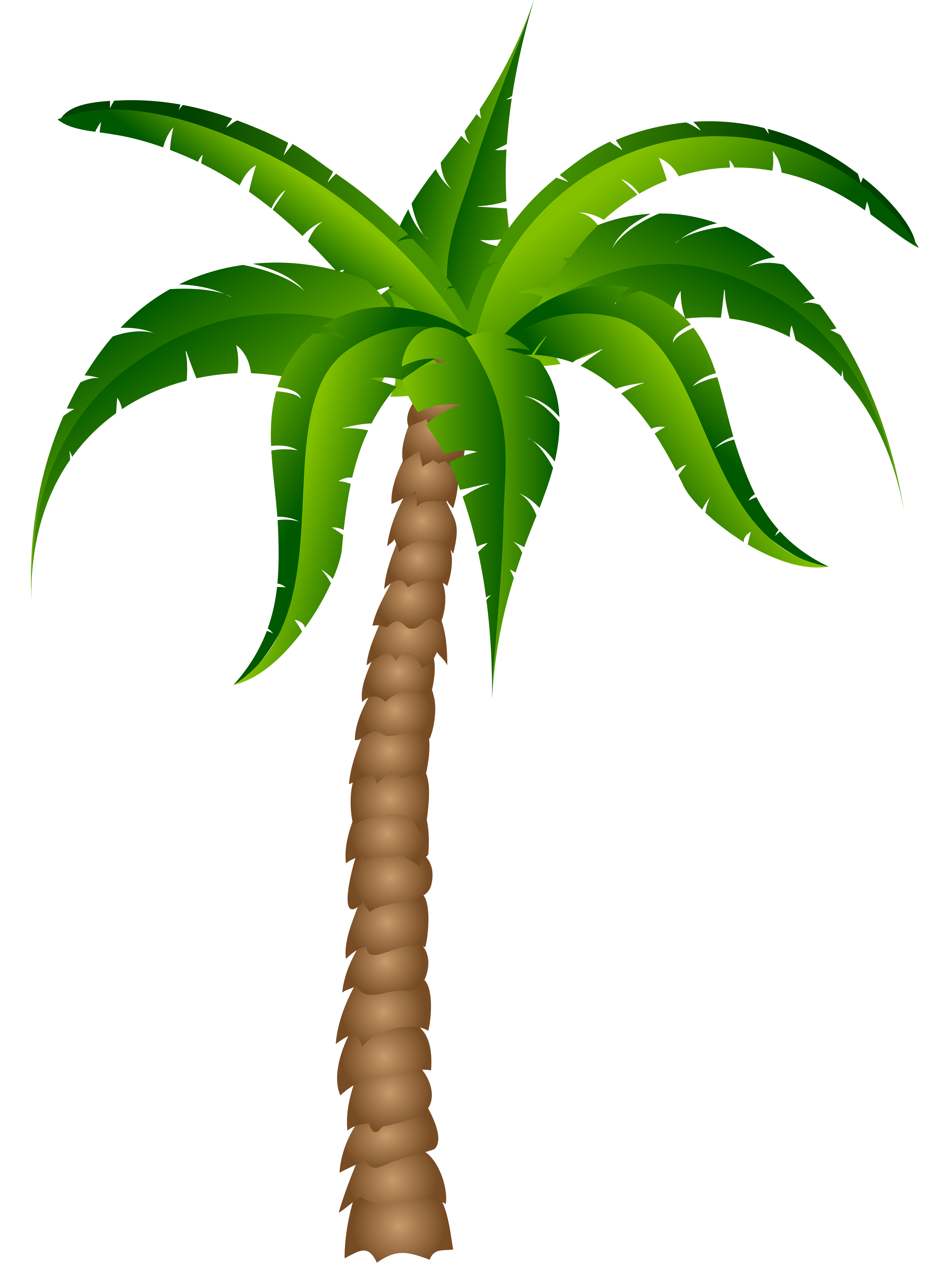 3672x4952 Palm Tree Cliparts