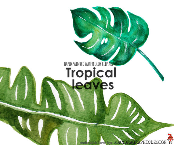570x475 Tropical Clip Art Tropical Leaf Clip Art Hand
