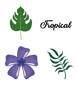274x300 Vector Tropical Plant Royalty Free Stock Image