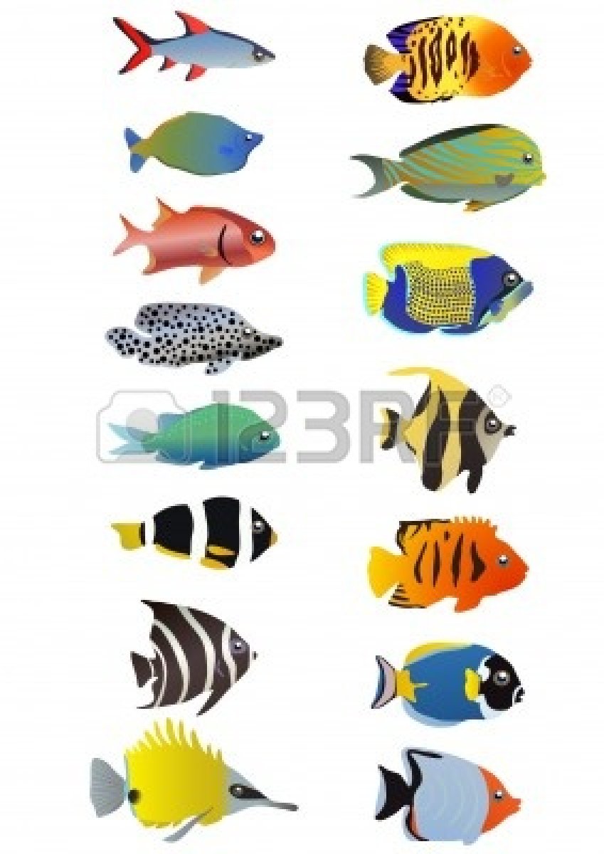 849x1200 Tropical Fish Clipart Group Fish