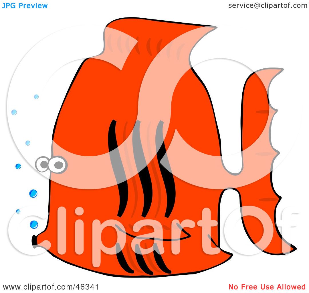 1080x1024 Tropical Fish Clipart Orange Fish