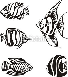 236x265 Tropical Fish Clipart Tiny Fish