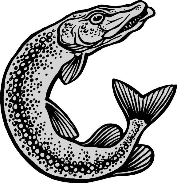 576x597 Cartoon Fish Clip Art Free Vector Download (214,205 Free Vector