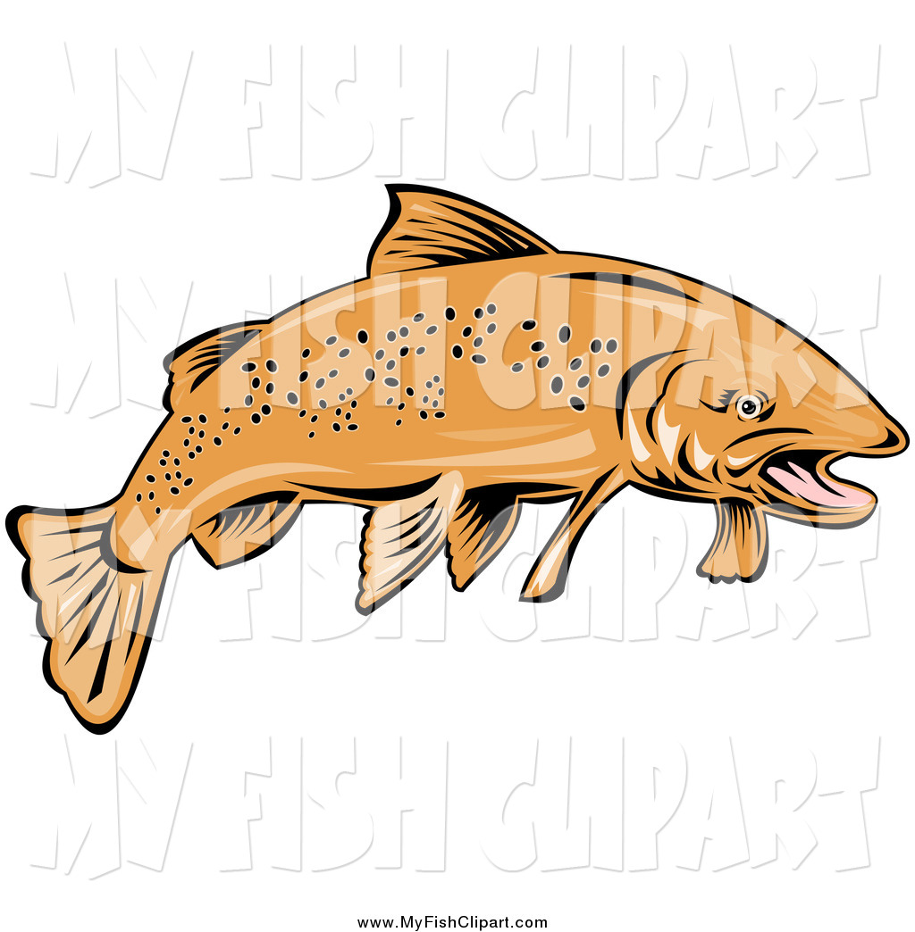 1024x1044 Royalty Free Trout Stock Fish Designs