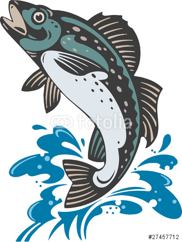 375x500 Trout Clipart Vector