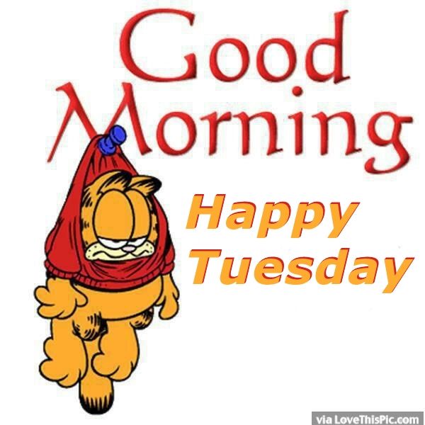 600x600 Happy Tuesday Clipart Cliparts